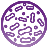 Probióticos que mejoran la flora intestinal