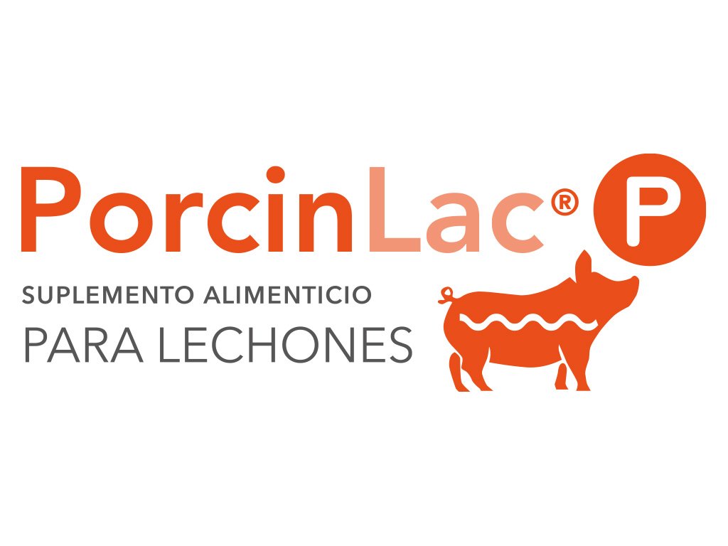 Imagen Logo Porcinlac P